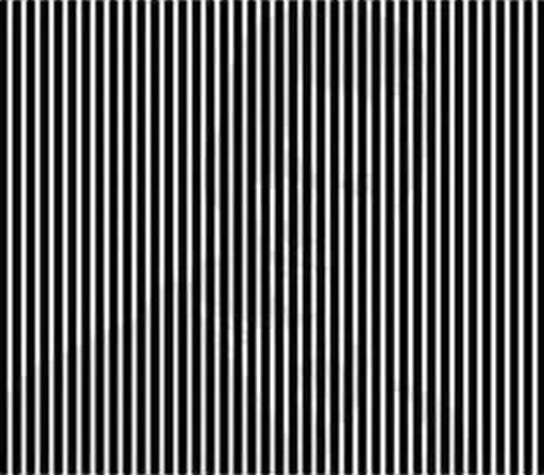 You Have to Shake Your Head to See This Illusion 3 shake your head illusion 3