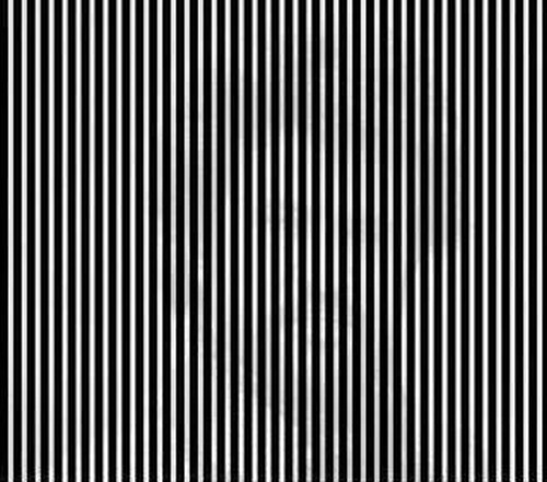 You Have to Shake Your Head to See This Illusion 4 shake your head illusion 4