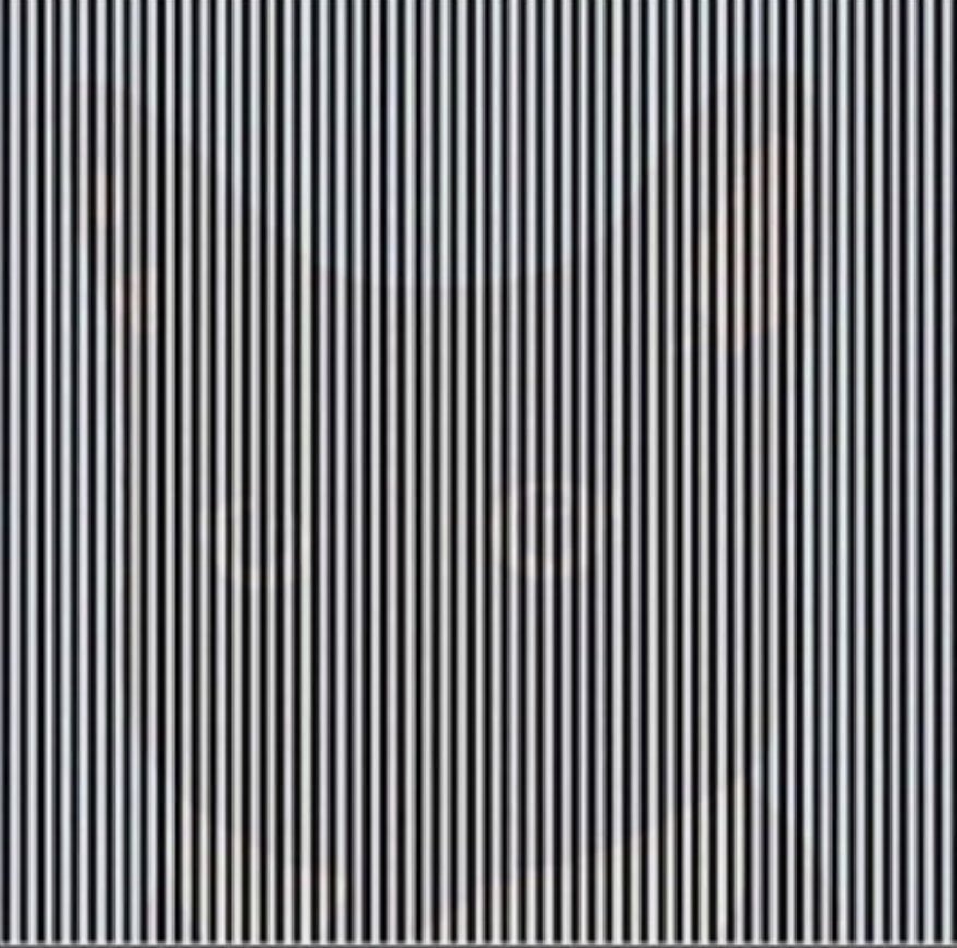 You Have to Shake Your Head to See This Illusion 5 shake your head illusion 5