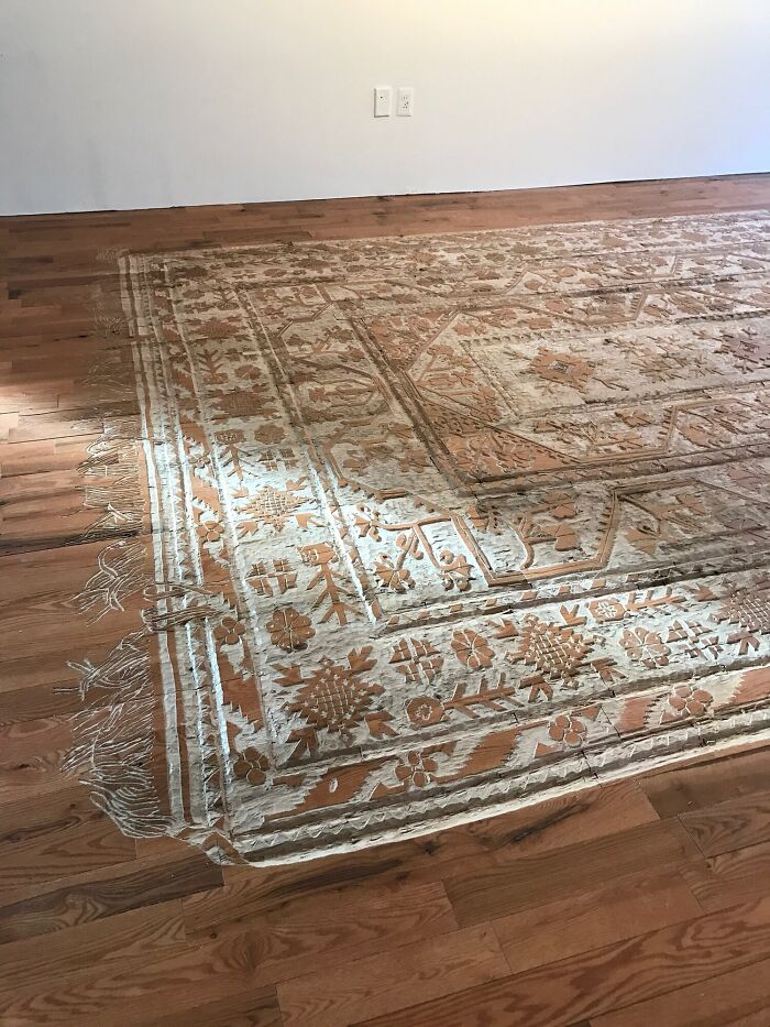 This Is Not a Carpet But an Intricate Floor Carving That Looks Exactly Like One 1 carved carpet art 1