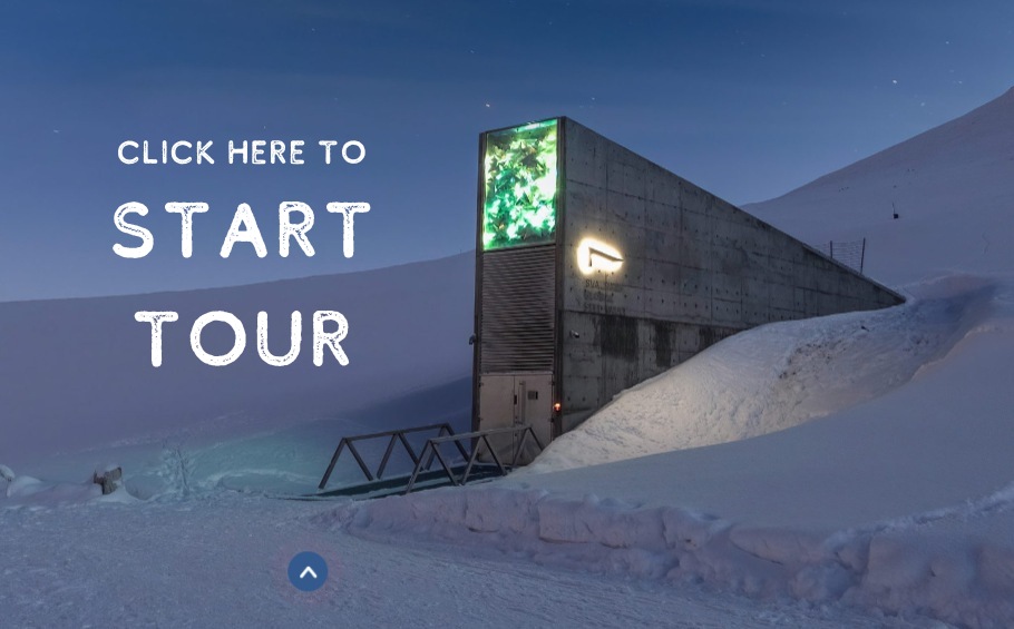 Take a Virtual Tour of the 'Doomsday' Global Seed Vault on Svalbard Island in Norway 2 doomsday seed vault virtual tour 3