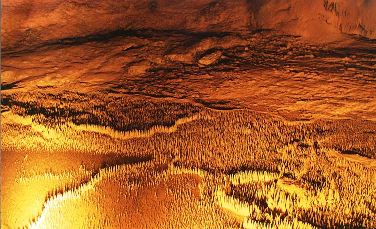 trabuc caves 100000 soldiers 2