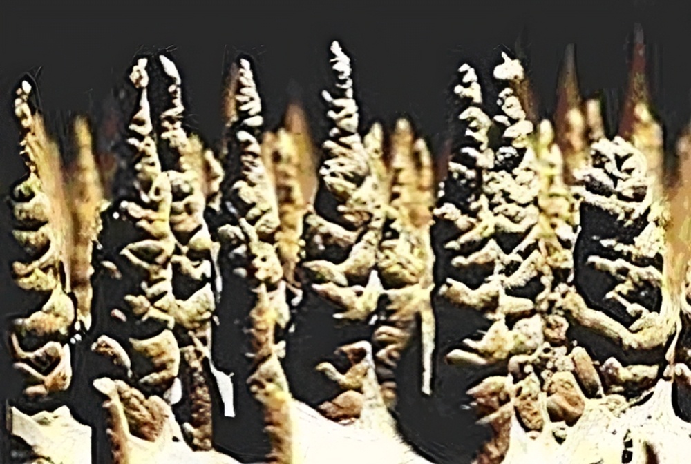 trabuc caves 100000 soldiers 5