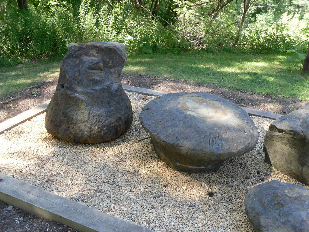 Rooted in Time: The Enigmatic Legacy of Fossilized Tree Stumps 5 fossil tree stump 7