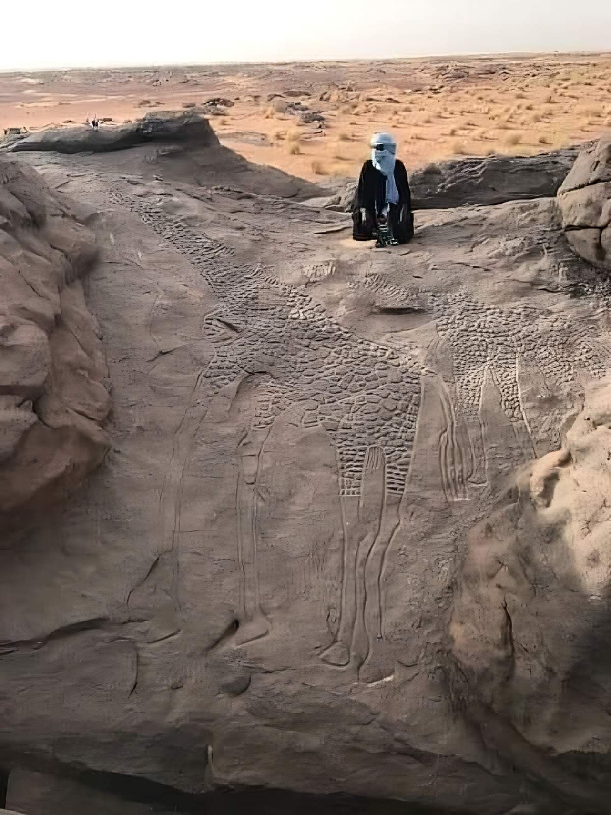 dabous giraffes largest animal petroglyphs 2