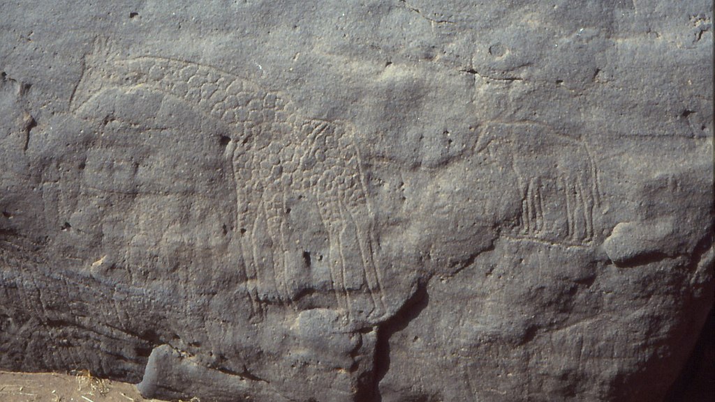 dabous giraffes largest animal petroglyphs 3