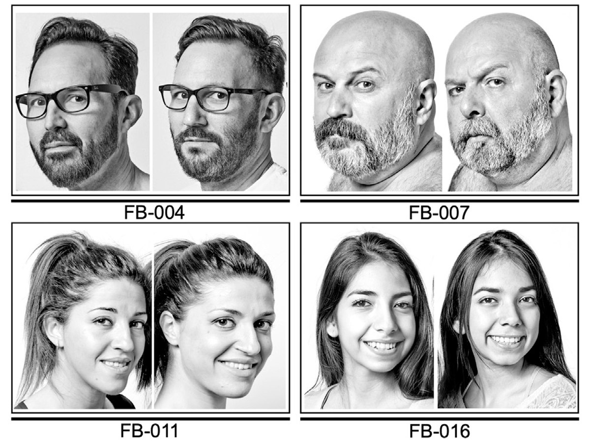 doppelganger lookalikes dns similarities study 1