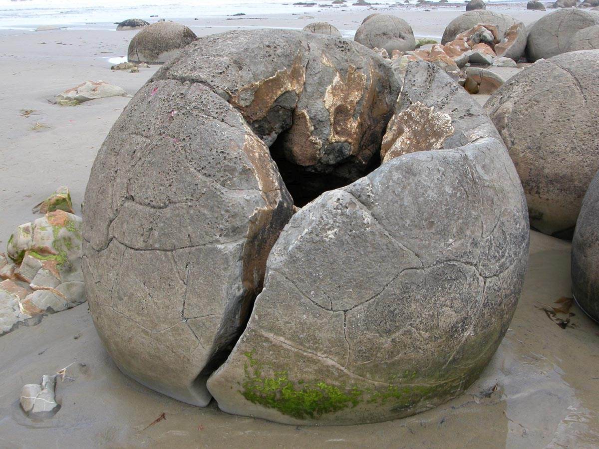 New Zealand's Amazing Moeraki Boulders Have Grown for 60 Million Years To Look Like This 3 moeraki boulders new zealand 2