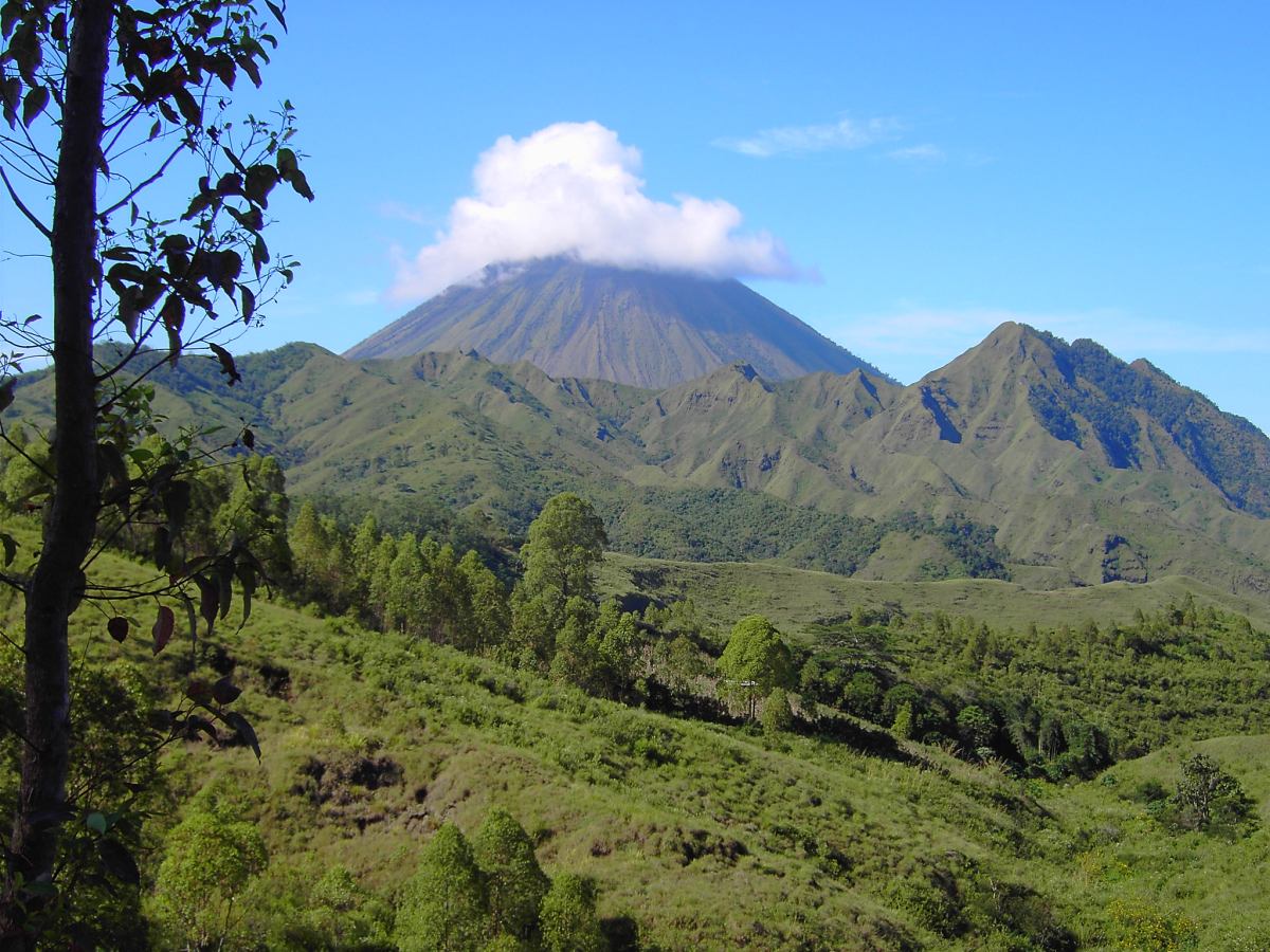 bajawa flores island volcano