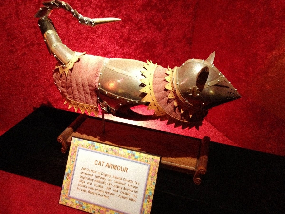Canine Knights Existed, As These Surviving Pieces of Dog Armor Testify 10 medieval cat armor