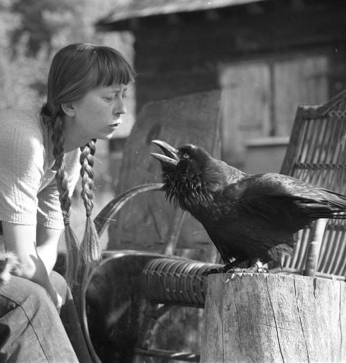 simona kossak conservationist boar lynx crow forest hut 3