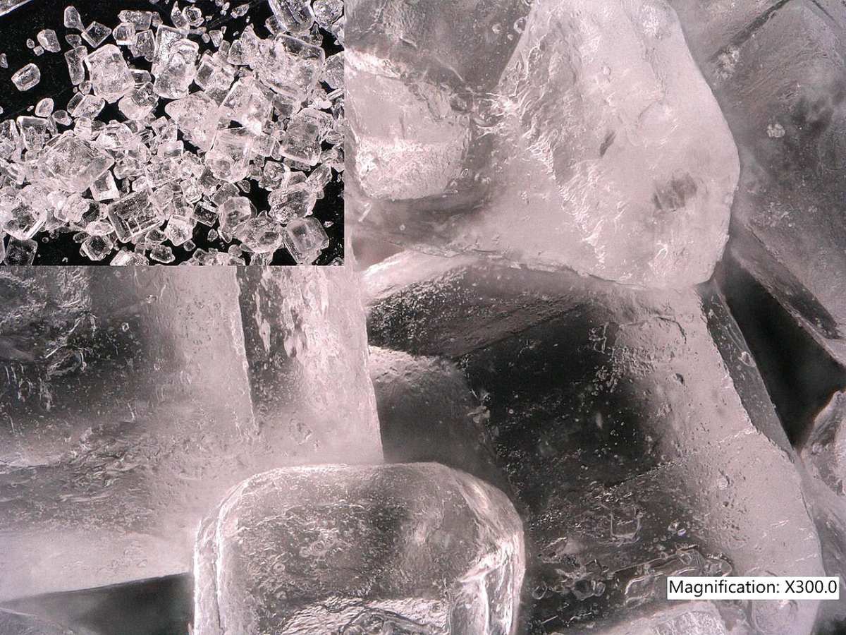 sugar under the microscope