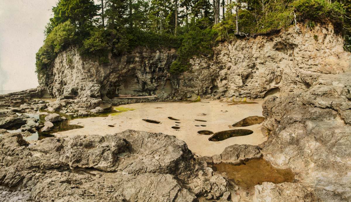 Botanical Beach in Canada is Filled With Crystal Clear Tide Pools, Each With a Unique Ecosystem 2 botanical beach tide pools juan de fuca provincia park vancouver island 5
