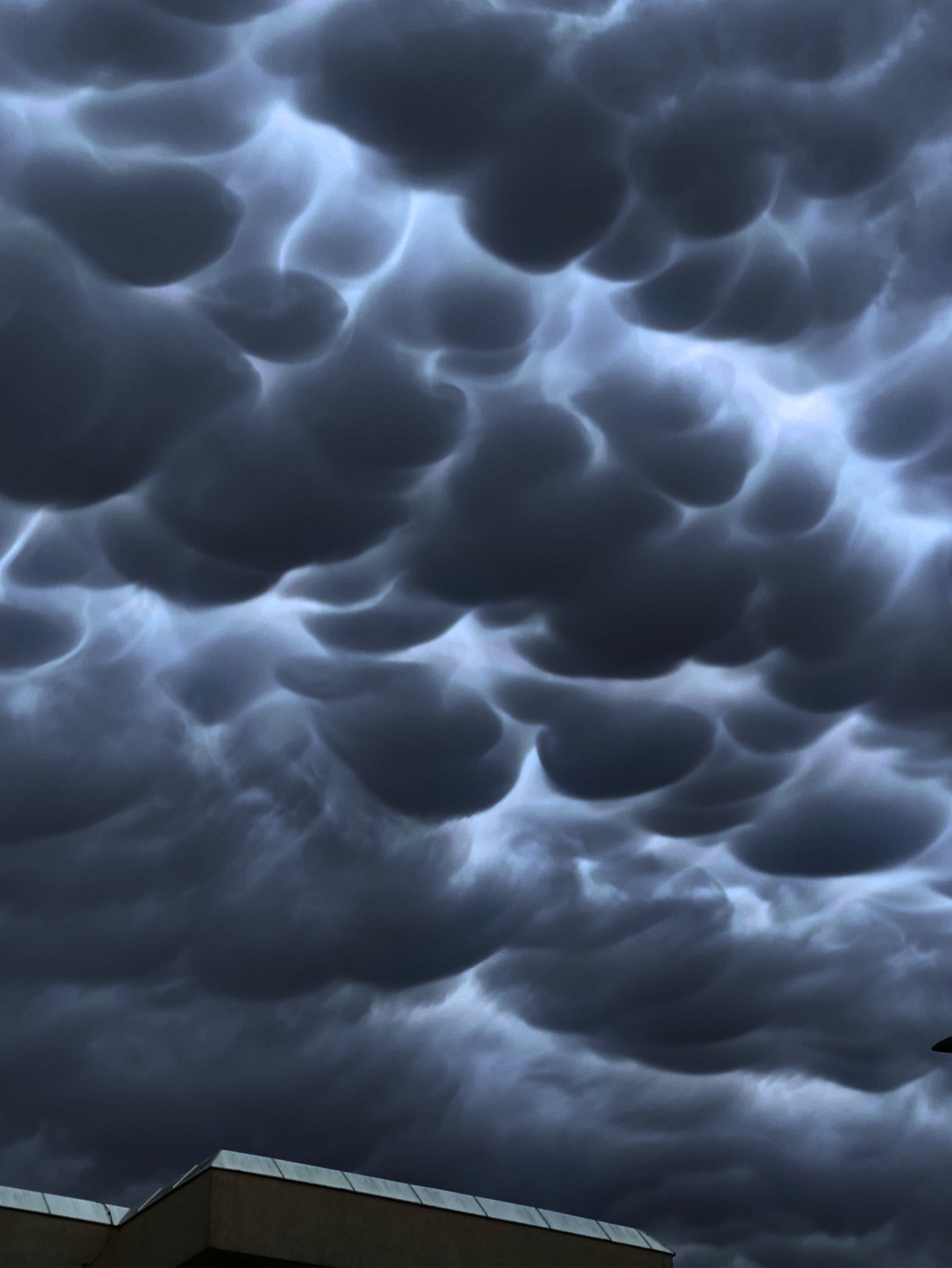 Finally I Got Lucky and Photographed Some Incredible Mammatus Clouds Over Tapolca, Hungary 4 mammatus clouds tapolca hungary tamas varga earthly mission 3f2