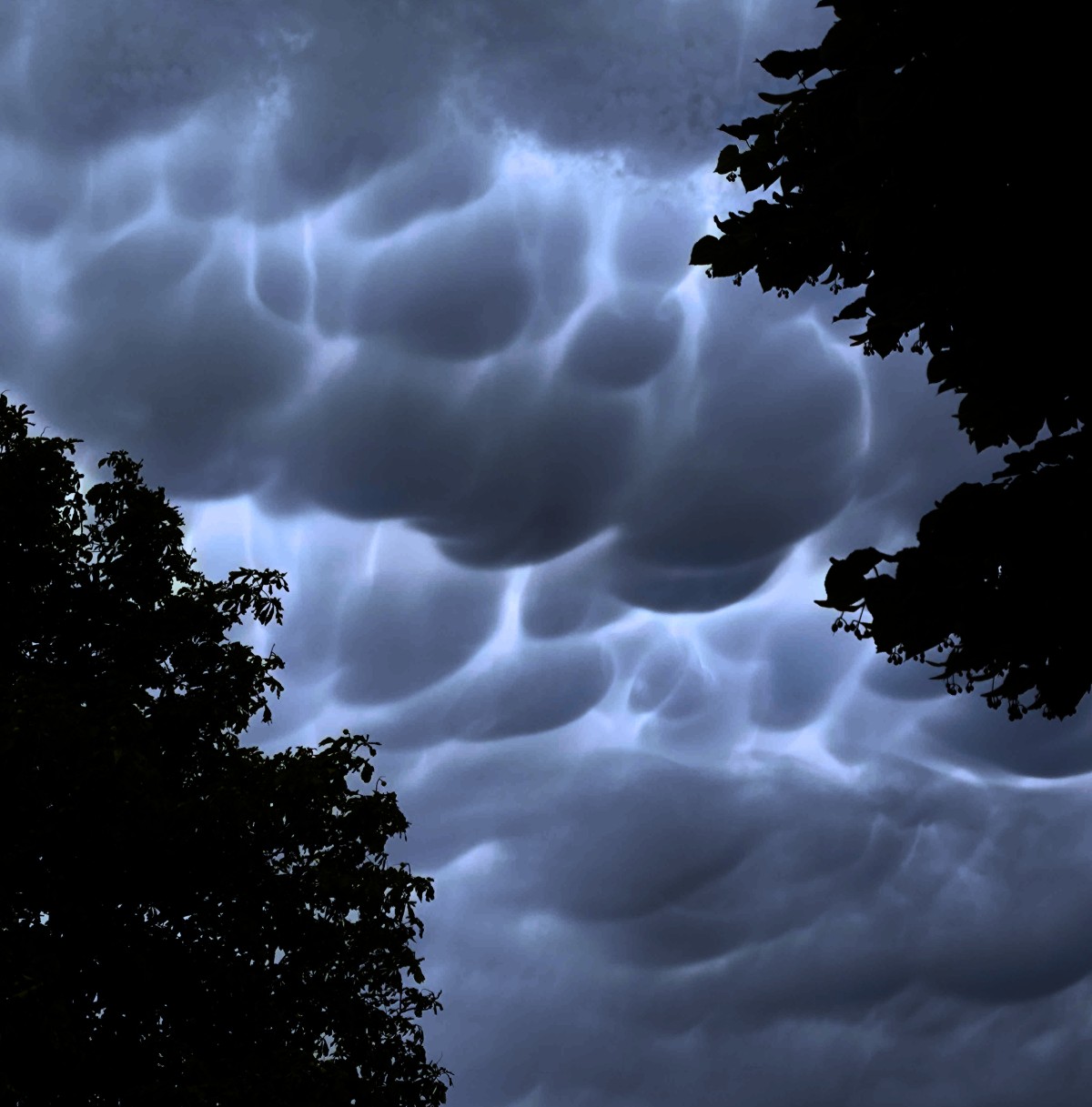 Finally I Got Lucky and Photographed Some Incredible Mammatus Clouds Over Tapolca, Hungary 5 mammatus clouds tapolca hungary tamas varga earthly mission 5e