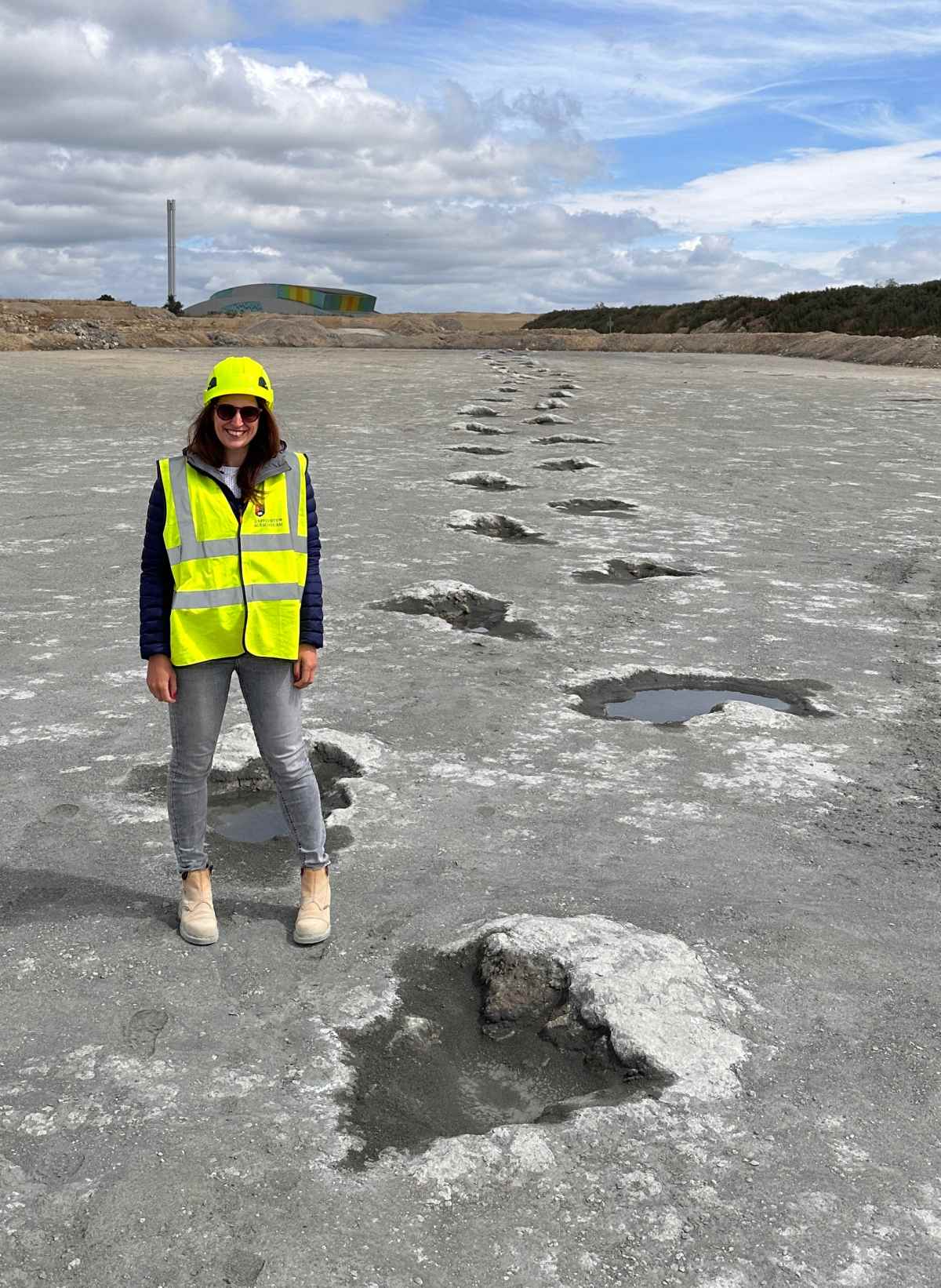 dinosaur highway oxfordshire discovery tracks 2
