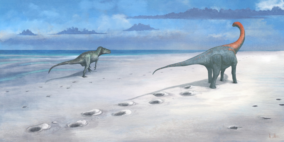 dinosaur highway oxfordshire discovery tracks 3