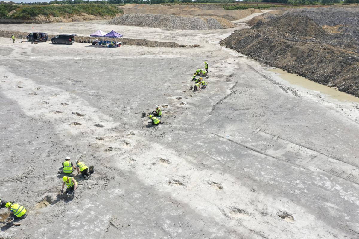 dinosaur highway oxfordshire discovery tracks 7