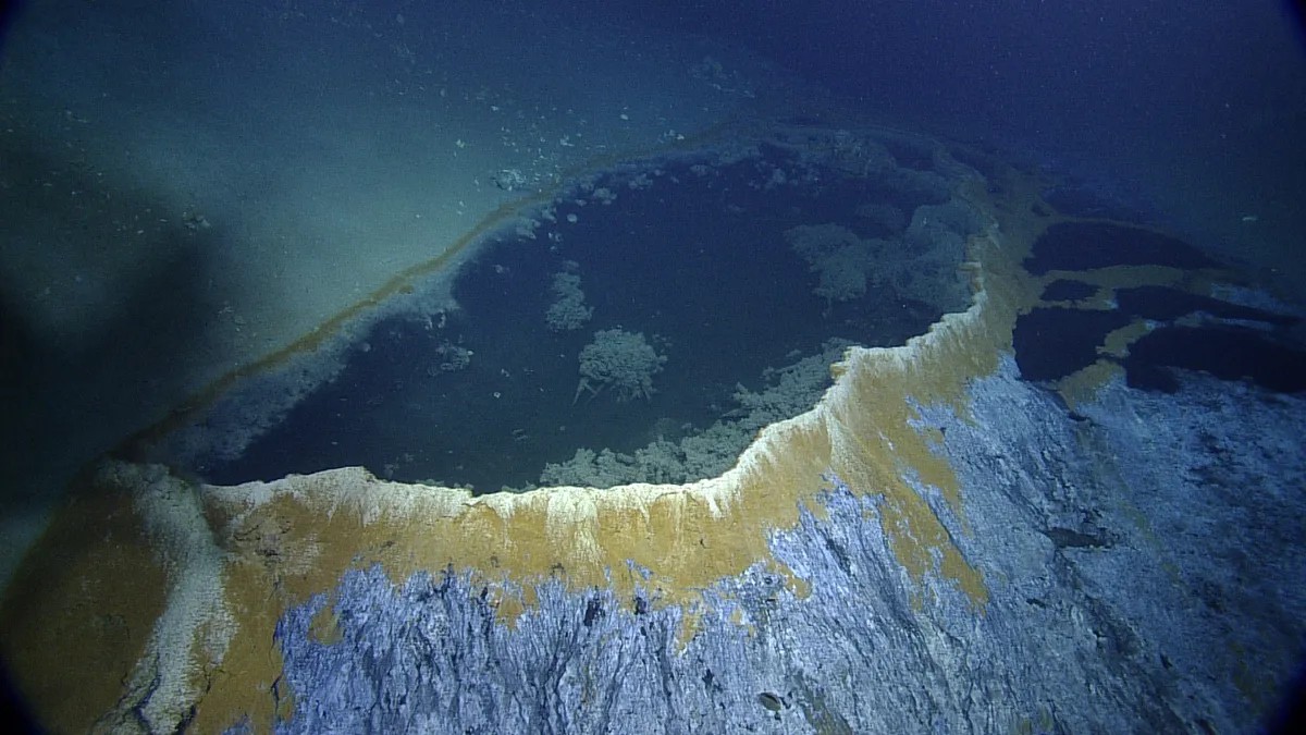 jacuzzi of despair brine pool gulf of mexico 1