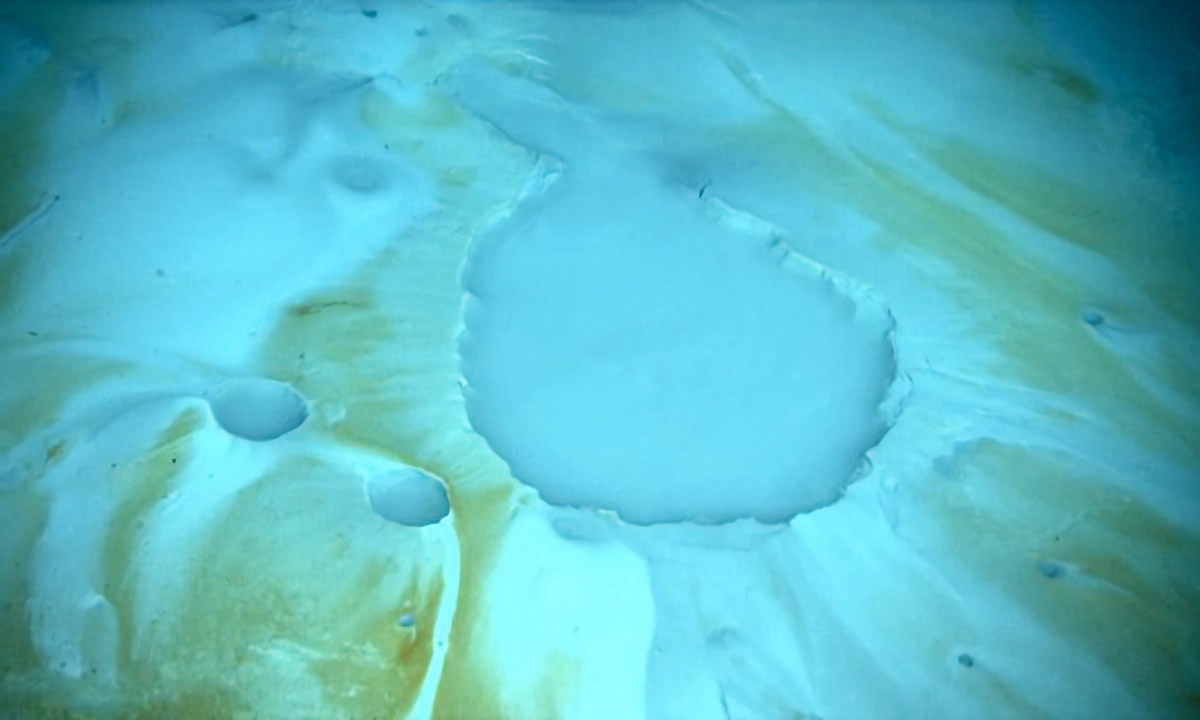 jacuzzi of despair brine pool gulf of mexico 5