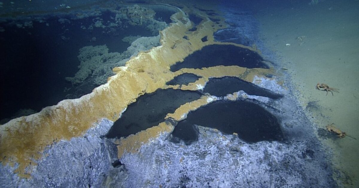 jacuzzi of despair brine pool gulf of mexico 8