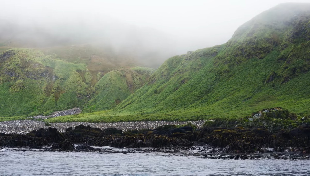 macquarie island earth mantle exposed 6
