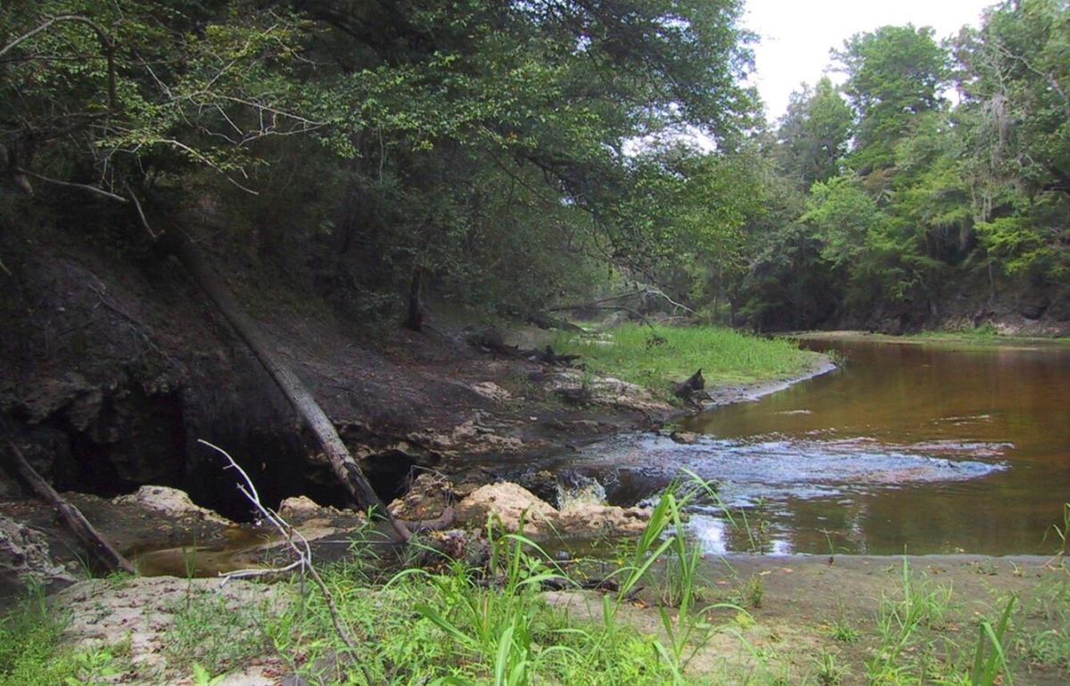alapaha river sinkhole