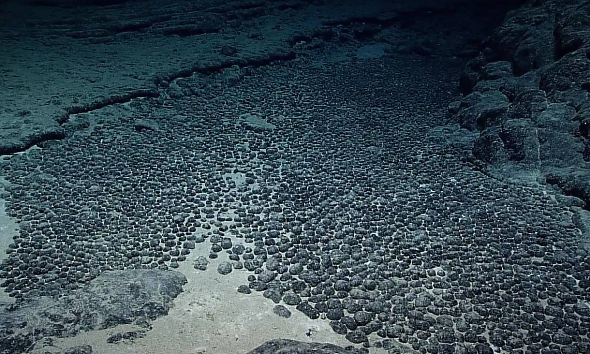 dark oxygen discovery polymetallic nodules 2