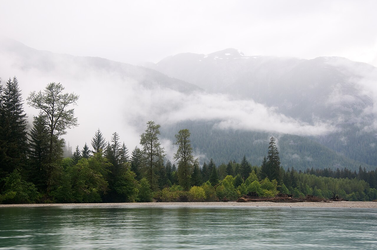 sea wolf vancouver island british columbia 5