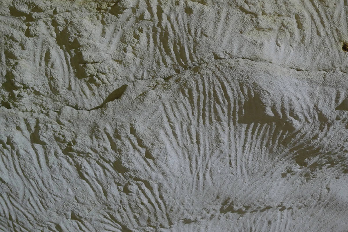 22,000 Years Ago, Aboriginal Miners Descended 70 Metres Into Koonalda Cave to Gather Flint in Complete Natural Darkness 5 koonalda cave australia aboriginal mining fingers